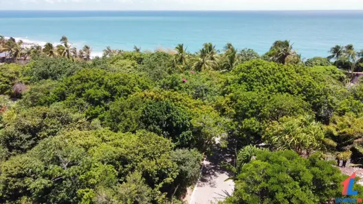 Lote/Terreno à venda, 2100m² no Praia de Pipa, Tibau do Sul