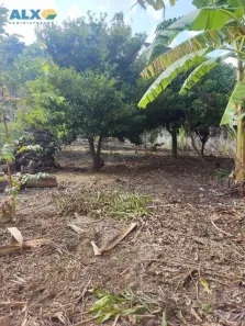 Lote/Terreno à venda, 720m² no Piratininga, Niterói