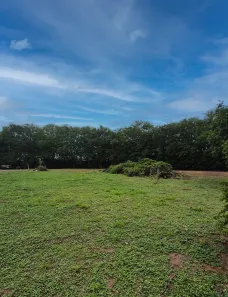 Lote/Terreno à venda, 1960m² no Jardim Botucatu (Rubião Júnior), Botucatu