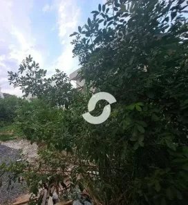Lote/Terreno à venda, 360m² no Badu, Niterói