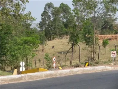 Lote/Terreno à venda, 23700m² no x, X