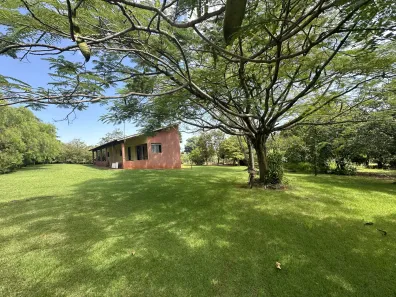 Fazenda/Sítio com 2 Quartos à venda, 155m² no Dom Pedro I, Londrina
