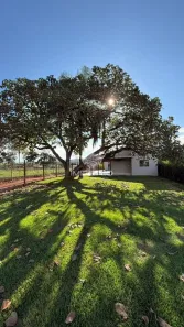 Fazenda/Sítio com 4 Quartos à venda, 1000m² no , Mateus Leme