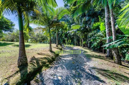 Fazenda/Sítio com 3 Quartos à venda, 700m² no Vila Itoupava, Blumenau