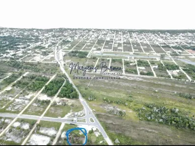 Lote/Terreno à venda, 1200m² no , Prado