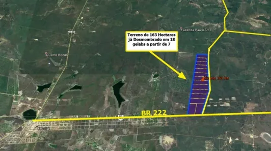 Lote/Terreno à venda, 1630000m² no , São Gonçalo do Amarante