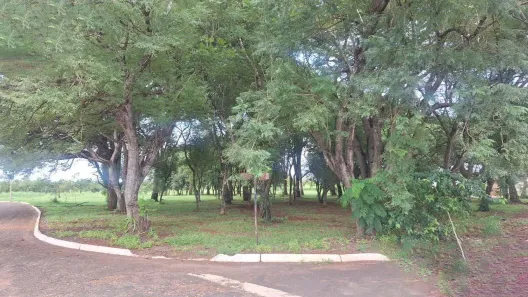 Casa com 2 Quartos à venda, 986m² no Pinheiros, São Paulo