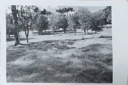 Fazenda/Sítio à venda, 20000m² no Área Rural de Farroupilha, Farroupilha