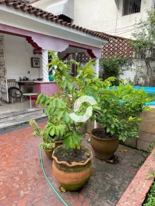 Casa com 5 Quartos à venda, 300m² no Santa Rosa, Niterói