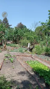 à venda, 2400m² no Cidade Nova Jacareí, Jacareí