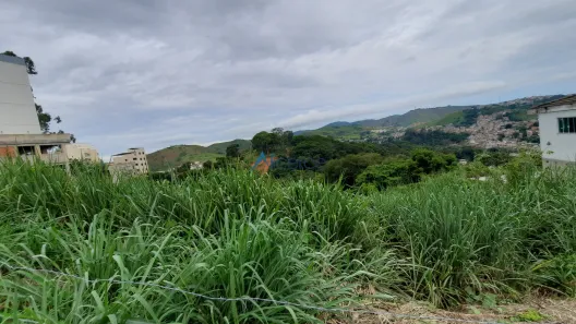 Lote/Terreno à venda, 390m² no Vivendas da Serra, Juiz de Fora
