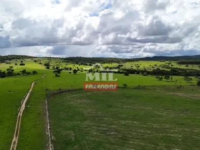 Fazenda/Sítio à venda, 500m² no , Uruana