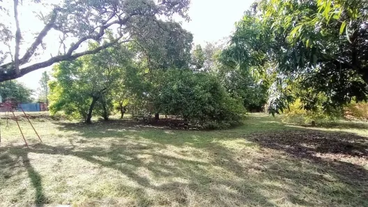Lote/Terreno à venda, 1250m² no Chácaras de Recreio Cruzeiro do Sul, Santa Bárbara D'Oeste