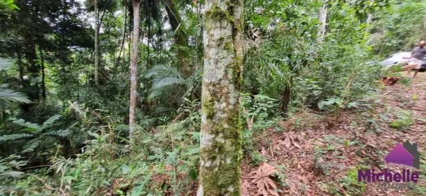 Lote/Terreno à venda, 1316m² no Prata, Teresópolis