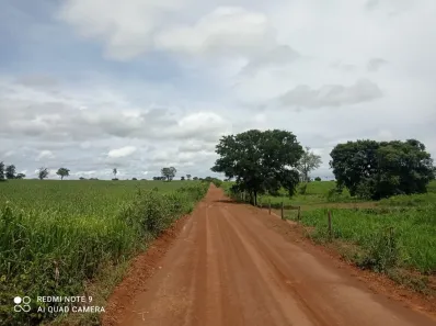 Fazenda/Sítio com 2 Quartos à venda, 80m² no , Flores de Goiás