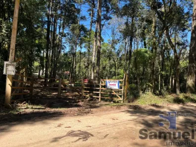 Fazenda/Sítio à venda, 5000m² no Campo Largo da Roseira, São José dos Pinhais