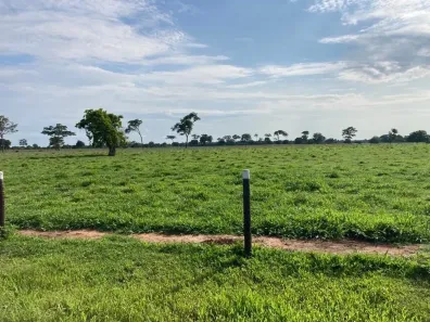 Fazenda/Sítio com 3 Quartos à venda, 11374000m² no Centro, Aruanã