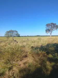 Fazenda/Sítio com 3 Quartos à venda, 7m² no , Novo Planalto