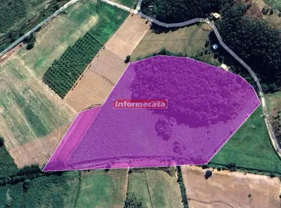 Fazenda/Sítio com 3 Quartos à venda, 70000m² no Pedra Lisa, Japeri