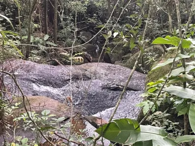 Lote/Terreno à venda, 7157m² no Ressacada, Garopaba
