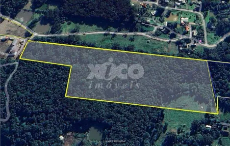 Fazenda/Sítio com 1 Quarto à venda, 5000m² no Pinhal Alto, Nova Petrópolis