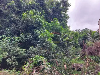 Lote/Terreno à venda, 370m² no Tucuruvi, São Paulo