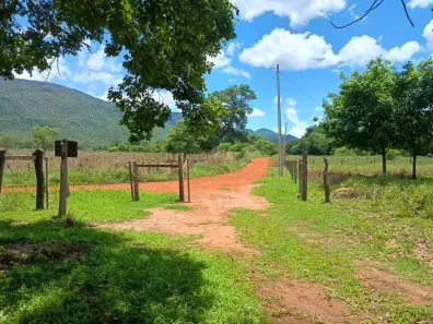 Fazenda/Sítio com 3 Quartos à venda, 190000m² no Área Rural de Formosa, Formosa