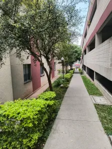 Apartamento com 3 Quartos à venda, 59m² no Conceição, Diadema