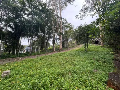 Lote/Terreno à venda, 3602m² no Cacupé, Florianópolis