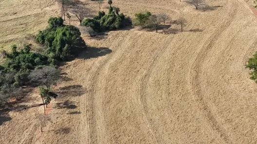 Fazenda/Sítio com 6 Quartos à venda, 556000m² no Centro, Palestina