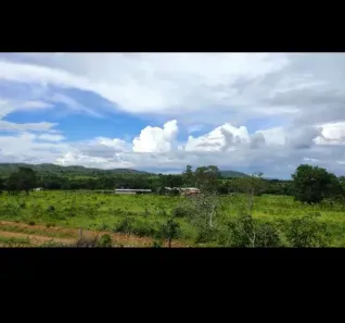 Fazenda/Sítio à venda no , Buritis