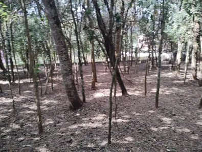 Lote/Terreno à venda, 1000m² no Rio Abaixo, Mairiporã