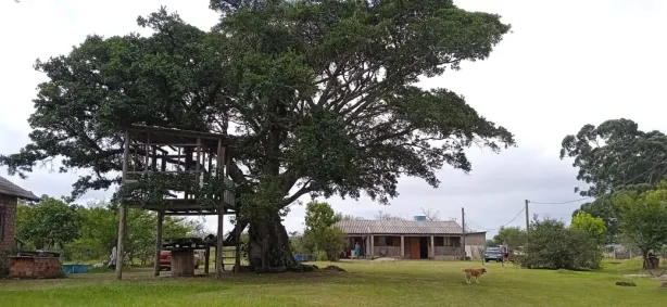 Fazenda/Sítio com 2 Quartos à venda, 2800m² no Águas Claras, Viamão