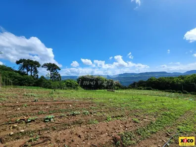 Fazenda/Sítio com 1 Quarto à venda, 48584m² no Nossa Senhora do Rosário, Caxias do Sul