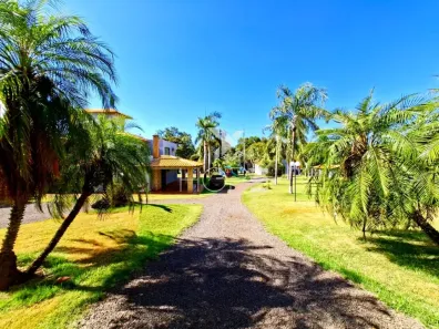 Fazenda/Sítio com 7 Quartos à venda, 704m² no , Alvorada do Sul