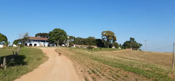 Fazenda/Sítio com 3 Quartos à venda, 1103146m² no Mariental, Lapa