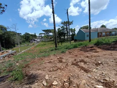 Lote/Terreno à venda, 811m² no Nova Petrópolis, Nova Petrópolis