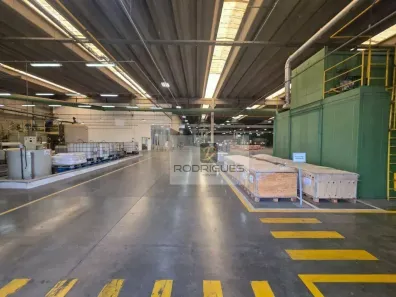 Galpão/Depósito/Armazém para alugar, 5313m² no Água Chata, Guarulhos