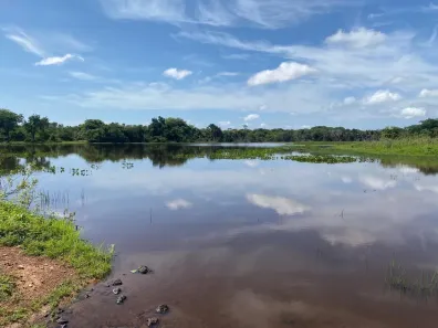 Fazenda/Sítio com 5 Quartos à venda, 721m² no , Talismã