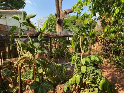 Lote/Terreno à venda, 389m² no São Manoel, Americana