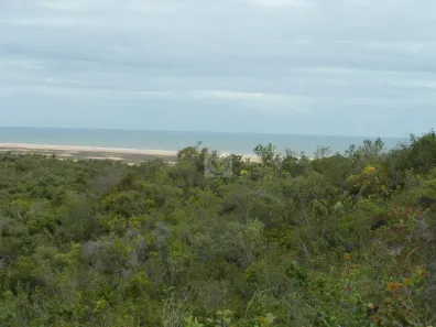 Fazenda/Sítio à venda, 260000m² no , Pirambu