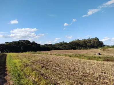 Lote/Terreno à venda, 151800m² no Forqueta, Caxias do Sul