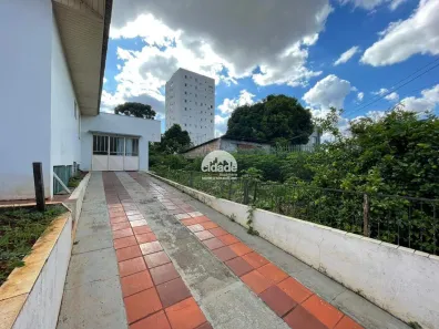 Lote/Terreno à venda, 650m² no Neva, Cascavel
