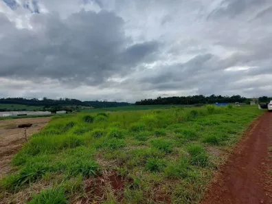 Fazenda/Sítio com 1 Quarto à venda, 1500m² no Santa Felicidade, Cascavel