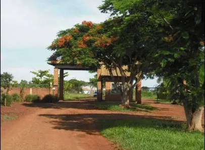 Fazenda/Sítio com 4 Quartos à venda, 242m² no , Sertanópolis