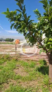Lote/Terreno à venda, 321m² no , Paulínia