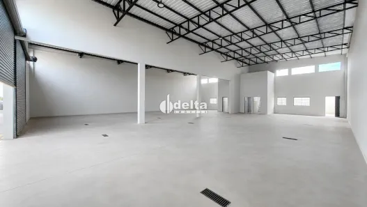 Ponto Comercial para alugar, 230m² no Segismundo Pereira, Uberlândia