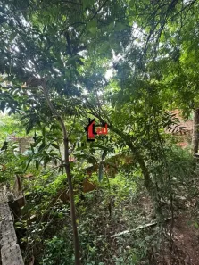 Lote/Terreno à venda, 298m² no Centro, Presidente Prudente
