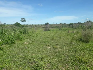 Fazenda/Sítio com 3 Quartos à venda, 240000m² no , Boa Saúde