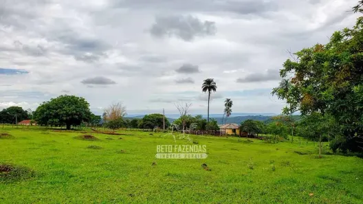 Fazenda/Sítio à venda, 433000m² no , Sacramento